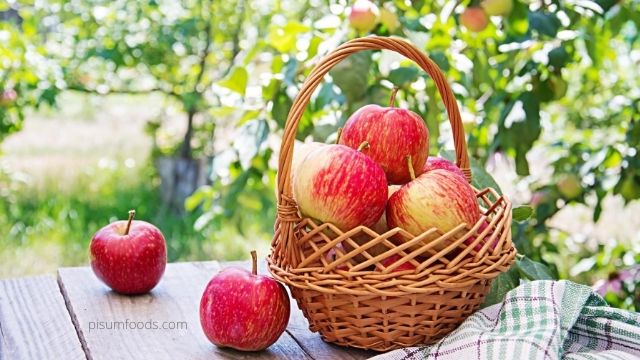 Scientific Facts about Apple
